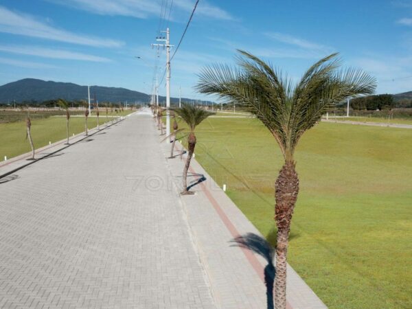 Terrenos a Venda em Itapema: Tenha a Sua Casa na Cidade Mais Valorizada do Brasil!