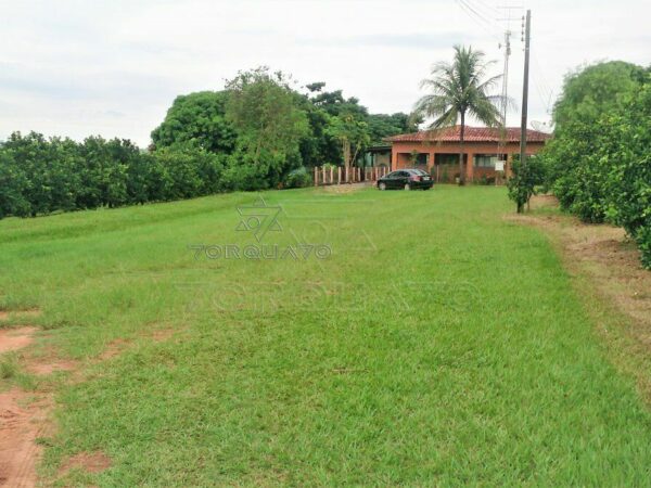 Área Rural em Conchal: Você Pode Morar no Interior com Muito Conforto!