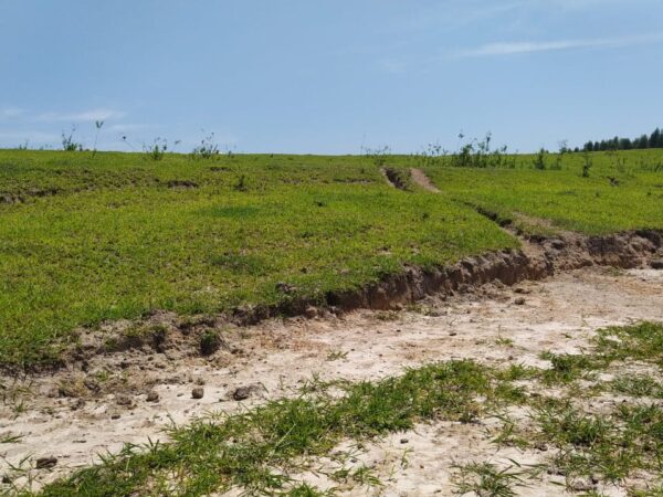 Vendo Belíssimo Sítio em São Pedro – SP