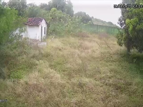 Rural 7 dormitórios 4 suítes 180m² Engenho Sebastopol Cabo de Santo Agostinho/PE