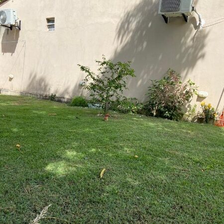 Casa 2 dormitórios 1 suíte 80m² 2 vagas Muro Alto Ipojuca/PE