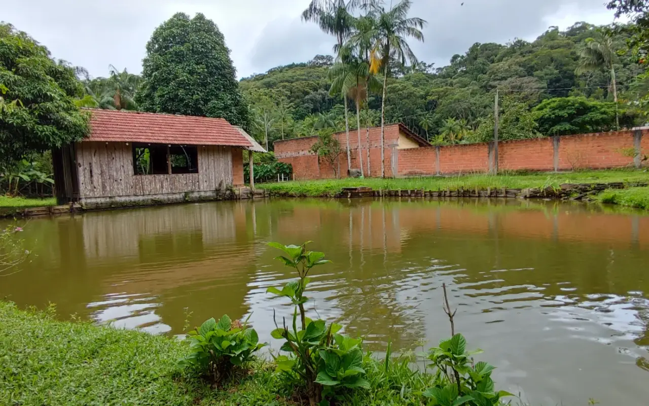 Chácara em Blumenau. Com rancho em construção. Lagoa com água. Poço artesiano. Pomar