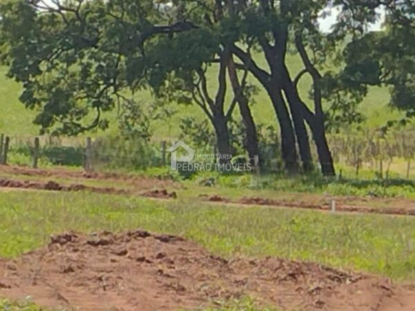 Lote/Terreno no bairro Centro, em Borebi