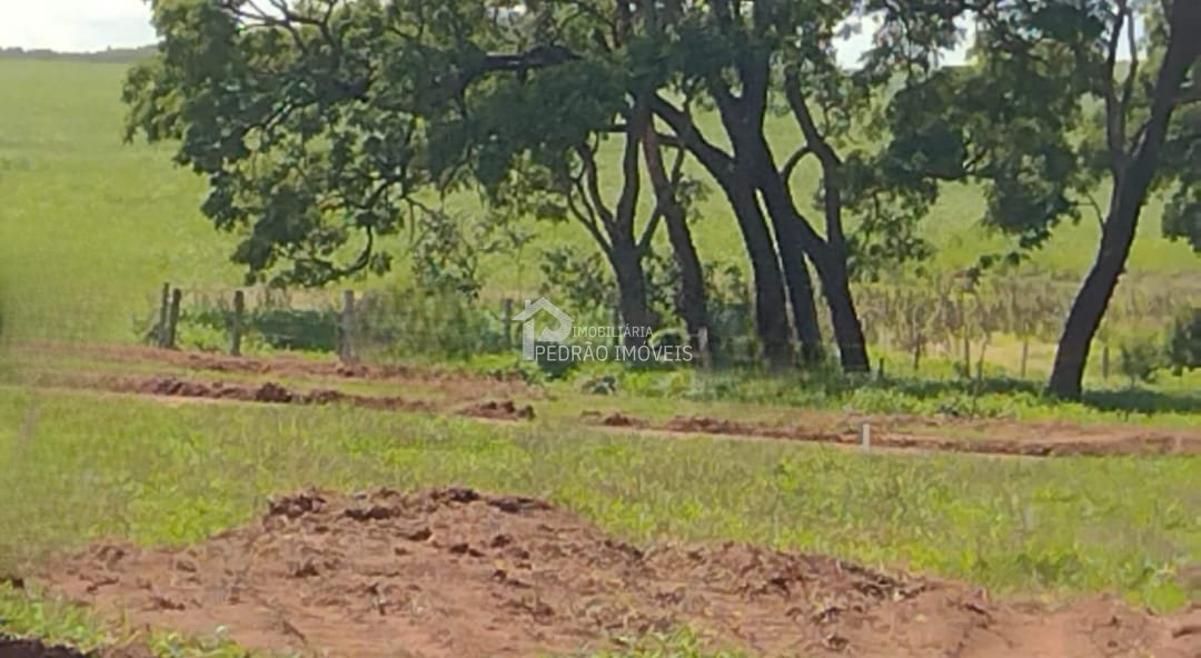 Lote/Terreno no bairro Centro, em Borebi